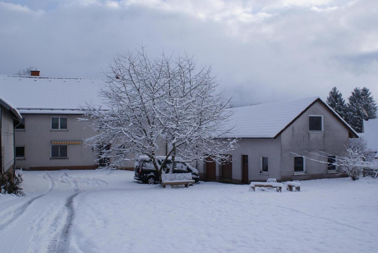Ferienwohnung Zum Kirschhof Hofbieber Εξωτερικό φωτογραφία